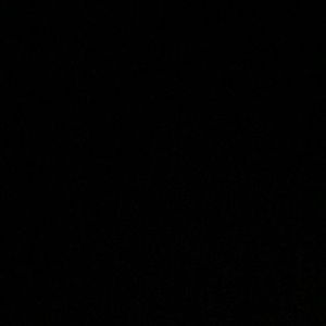 Meet your Posher, Alli